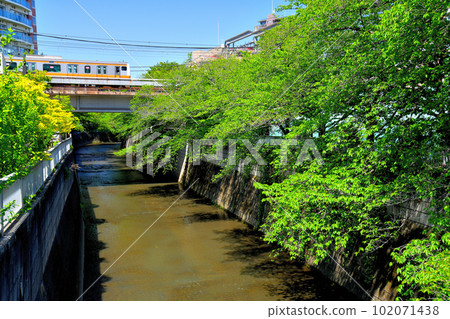 Manki Bridge / Looking downstream from the Kanda River (Shinjuku-ku, Tokyo) [2023.4] 102071438