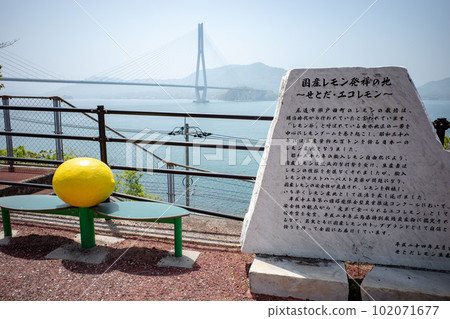 Shimanami Kaido Ikuchijima Tatara Bridge Lemon Valley Shimanami Kaido Ikuchijima Tatara Bridge Lemon Valley 102071677