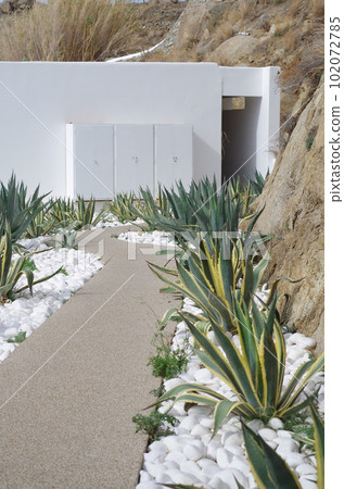 被美國蘆薈包圍的米科諾斯長廊 被美國蘆薈包圍的米科諾斯長廊 102072785