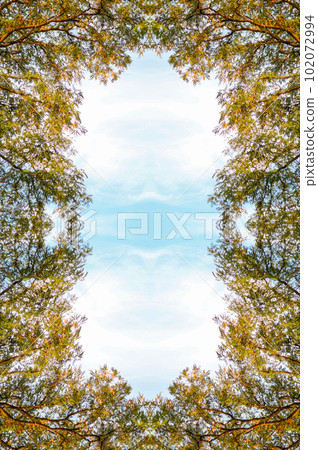 Spring tamarind branches on the blue sky. A majestic green tamar Spring tamarind branches on the blue sky. A majestic green tamar 102072994