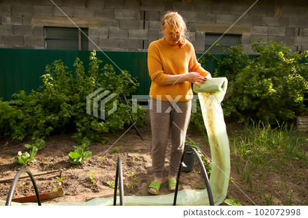 Tunnel greenhouse. Woman hands stretching new polythene film on greenhouse plastic black carcass. Closeup. Side view. Preparation for garden season in spring 102072998