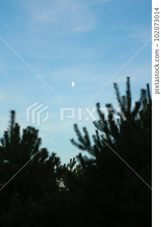 Panoramic nighttime landscape with dark and cold tones. The silh Panoramic nighttime landscape with dark and cold tones. The silh 102073014