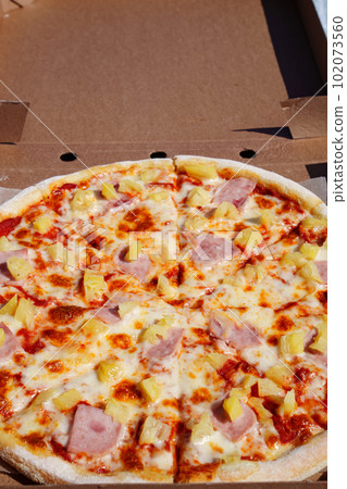 Pizza with pineapple and ham is a popular type of pizza known as Hawaiian pizza. 102073560