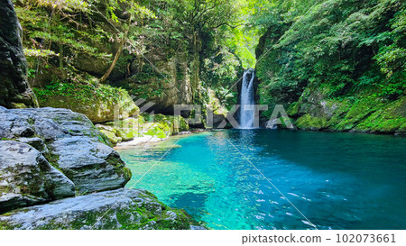 Nikobuchi (Niyodo Blue) 102073661