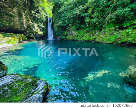 Nikobuchi（仁淀藍） 102073663