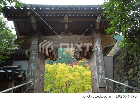 The east gate of Yoshimine-ji Temple The east gate of Yoshimine-ji Temple 102074456