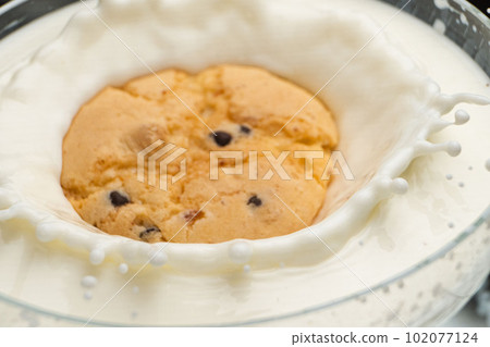Chocolate Chip Cookie falling and splashing in milk. Chocolate Chip Cookie falling and splashing in milk. 102077124