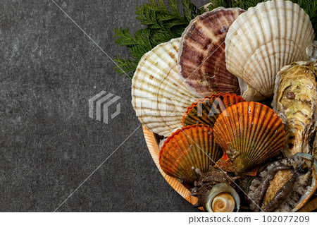 Assorted shellfish 102077209