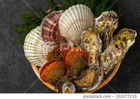Assorted shellfish Assorted shellfish 102077210