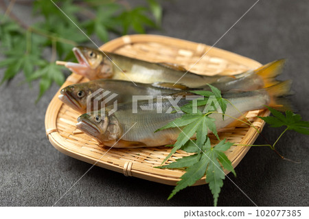 Fresh sweetfish Fresh sweetfish 102077385
