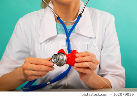 Doctor holding anatomical thyroid model and stethoscope in his office 102079039