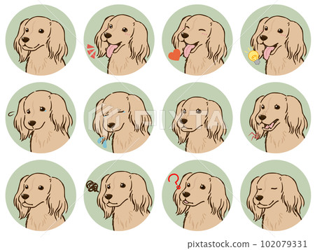 臘腸犬面部表情圖標集（長大衣，奶油色） 102079331