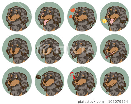 臘腸犬面部表情圖標集(長大衣,銀色斑紋) 臘腸犬面部表情圖標集(長大衣,銀色斑紋) 102079334