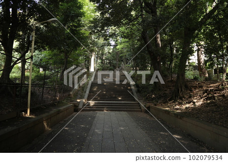 Shibuya Hikawa Shrine 102079534