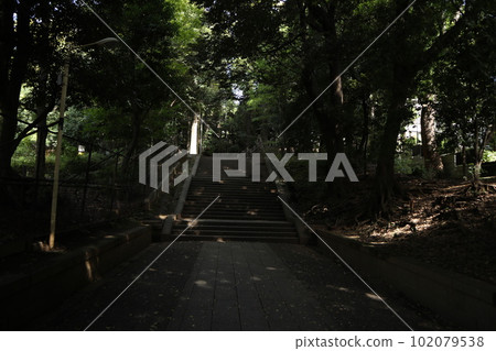 Shibuya Hikawa Shrine Shibuya Hikawa Shrine 102079538