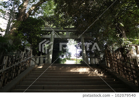Shibuya Hikawa Shrine Shibuya Hikawa Shrine 102079540