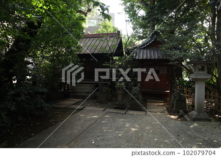Shibuya Hikawa Shrine 102079704