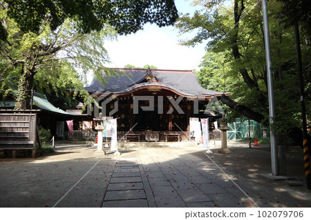 Shibuya Hikawa Shrine Shibuya Hikawa Shrine 102079706