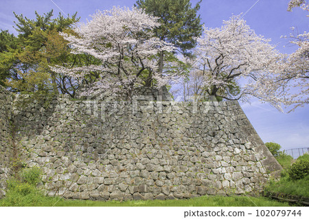 久留米城毀壞石牆和櫻花 久留米城毀壞石牆和櫻花 102079744