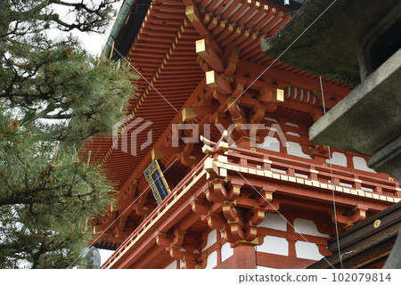 Fushimi Inari Shrine seen from the side Fushimi Inari Shrine seen from the side 102079814