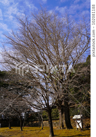 帶肥城,與高村壽太郎的出生地帶肥氏有關的博物館 帶肥城,與高村壽太郎的出生地帶肥氏有關的博物館 102081188