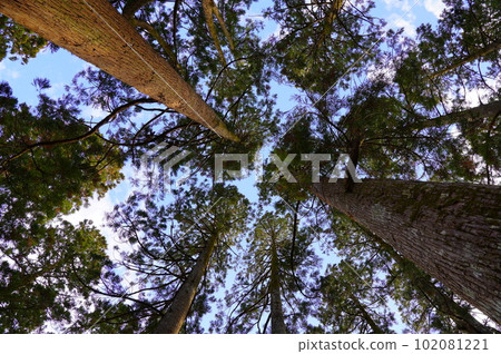 帶肥城,與高村壽太郎的出生地帶肥氏有關的博物館 帶肥城,與高村壽太郎的出生地帶肥氏有關的博物館 102081221