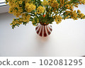 Photo of goldenrod solidago yellow small flowers in a vase 102081295