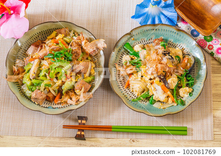 2種champuru菜餚 102081769