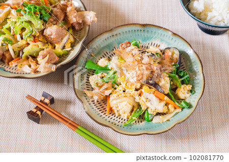2 types of champuru dishes 102081770