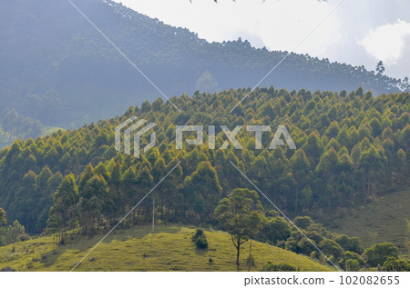 Misty mountains Misty mountains 102082655