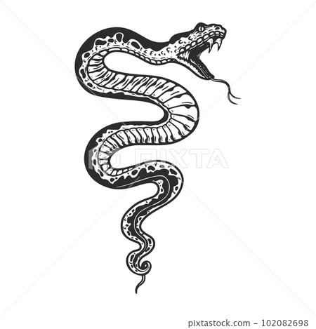 Illustration of poisonous snake in engraving style. Design element for logo, label, emblem, sign, badge. Vector illustration Illustration of poisonous snake in engraving style. Design element for logo, label, emblem, sign, badge. Vector illustration 102082698