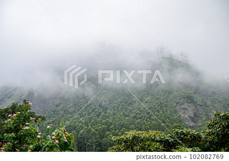 Misty mountains 102082769