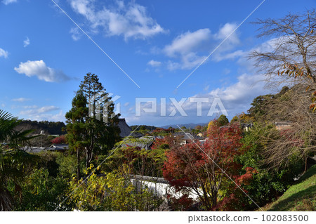 Shinnyodo seen from Higashiyama, Kyoto Philosopher's Path 102083500