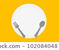 Empty plate, spoon and fork 102084048