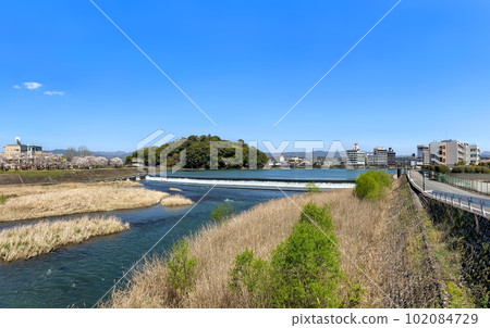 日田三熊川公園、龜山公園和城市景觀的櫻花 日田三熊川公園、龜山公園和城市景觀的櫻花 102084729