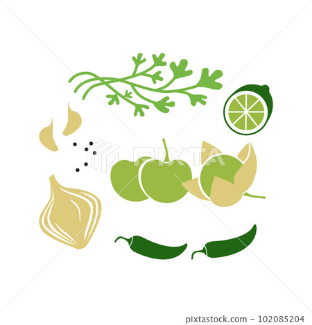 Fresh raw ingredients for salsa verde or green salsa. Vector illustration isolated on white. Fresh raw ingredients for salsa verde or green salsa. Vector illustration isolated on white. 102085204