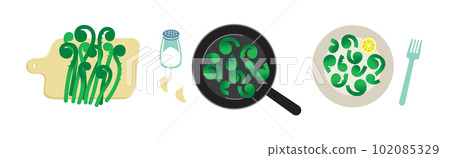 Spring fern fronds cooking process. Wild plant. Vector isolated on white. Spring fern fronds cooking process. Wild plant. Vector isolated on white. 102085329