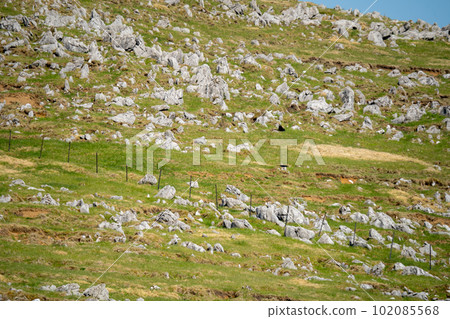 Landscape of Shikoku Karst 102085568