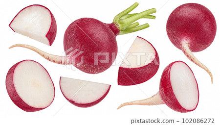 Radish isolated on white background 102086272