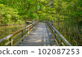 Suspension bridge 102087253