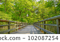 Suspension bridge 102087254