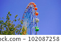 Ferris wheel  102087258