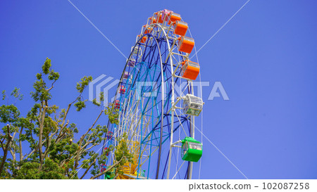 Ferris wheel Ferris wheel 102087258