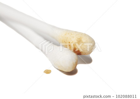 Ear wax on cotton swab isolated on white background. 102088011