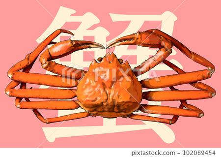 illustration of fresh snow crab 102089454