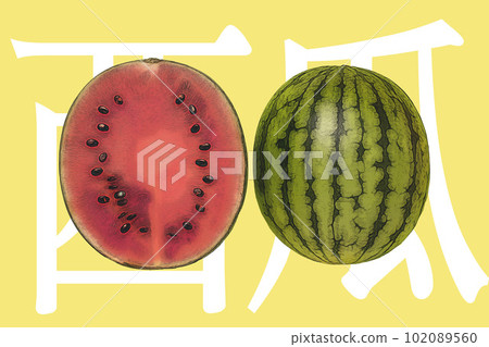 新鮮西瓜插畫 102089560