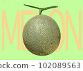 illustration of fresh melon 102089563