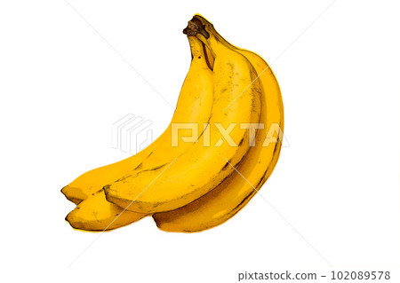 illustration of fresh banana 102089578