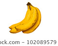 illustration of fresh banana 102089579