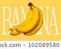 illustration of fresh banana 102089580